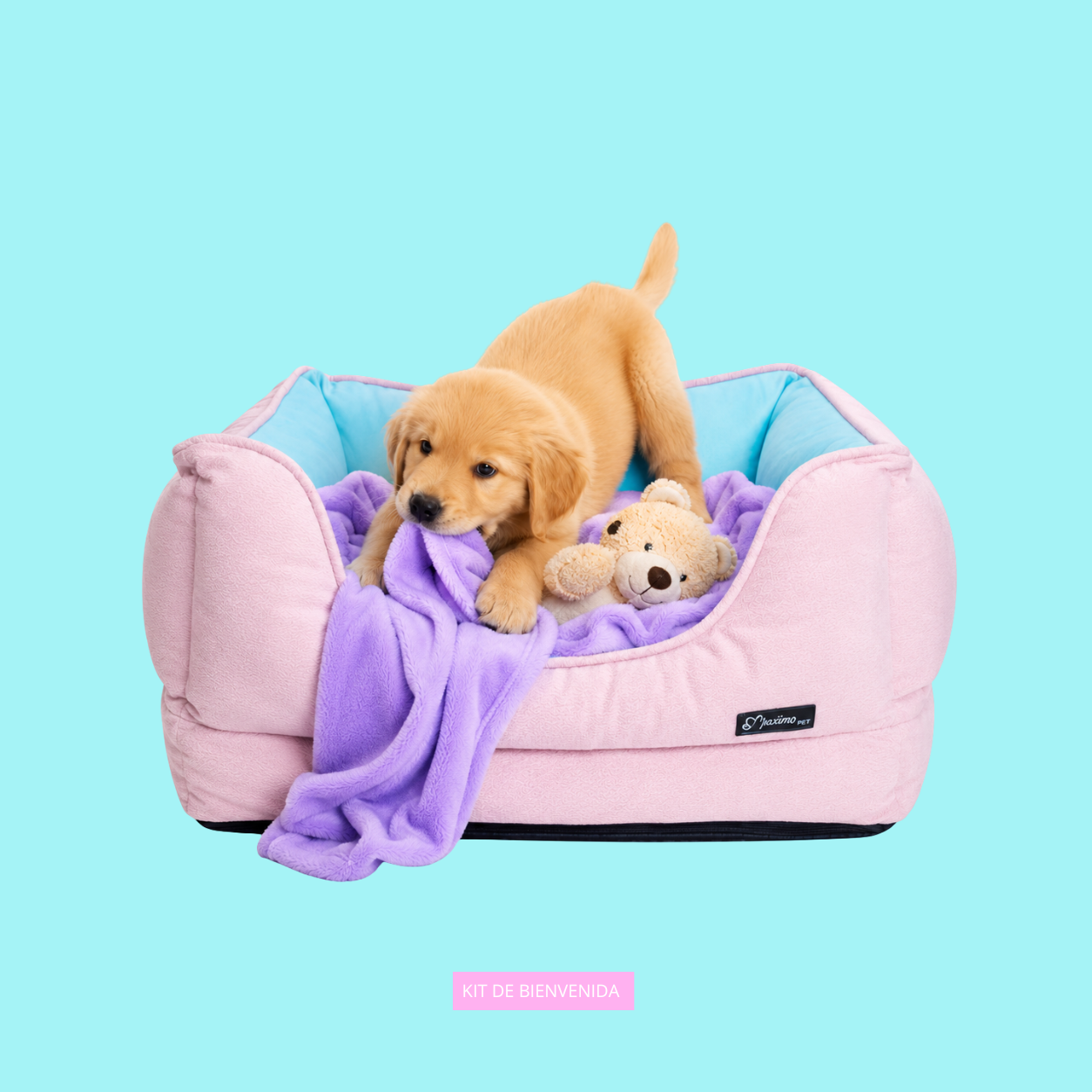 KIT DE BIENVENIDA