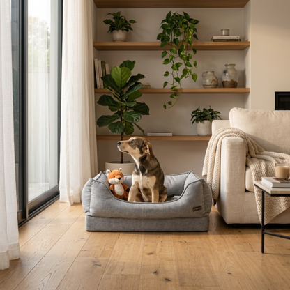 Camas para Mascotas Mimo