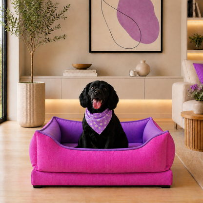 Camas para Mascotas Brisa