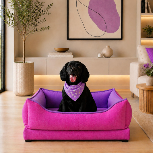 Camas para Mascotas Brisa